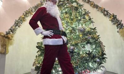 Elon Musk shares quirky picture of himself on Christmas day 'Ozempic Santa'...