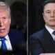2 hours ago, Elon Musk admitted he now “regrets” some of his Trump tweets — just after facing massive fallout…