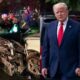 Washington, D.C. — U.S. President Donald J. Trump and his wife Melania Trump have just been involved in a serious car crash just miles away from the White House and have been Urgently Rushed to…see more